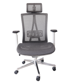 Silla Ergonomica Paris Plus