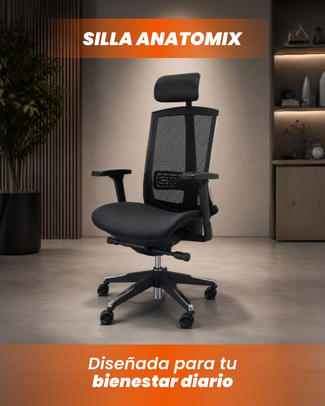 Silla Anatomix